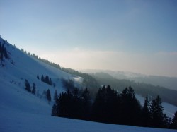 pano p-f