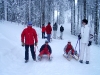 luge_1