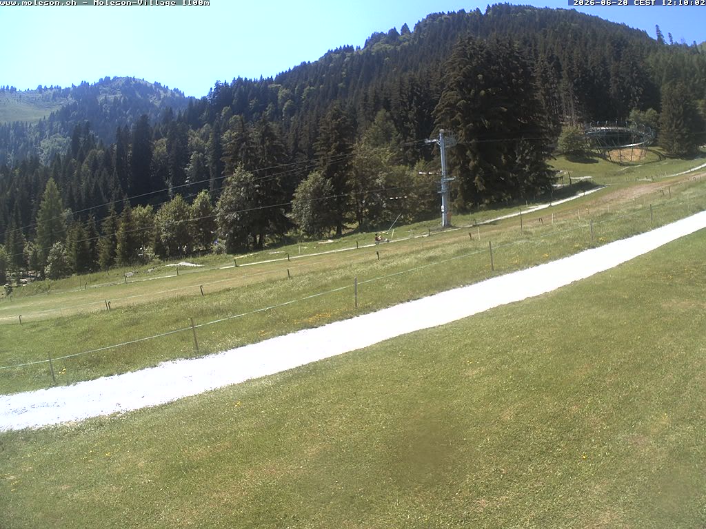 Moléson-Dorf - 1100m