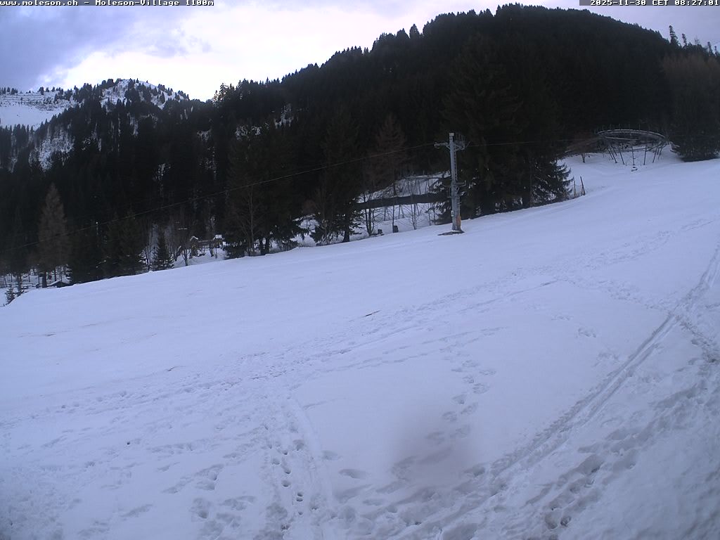 Moléson-Village - 1100 m