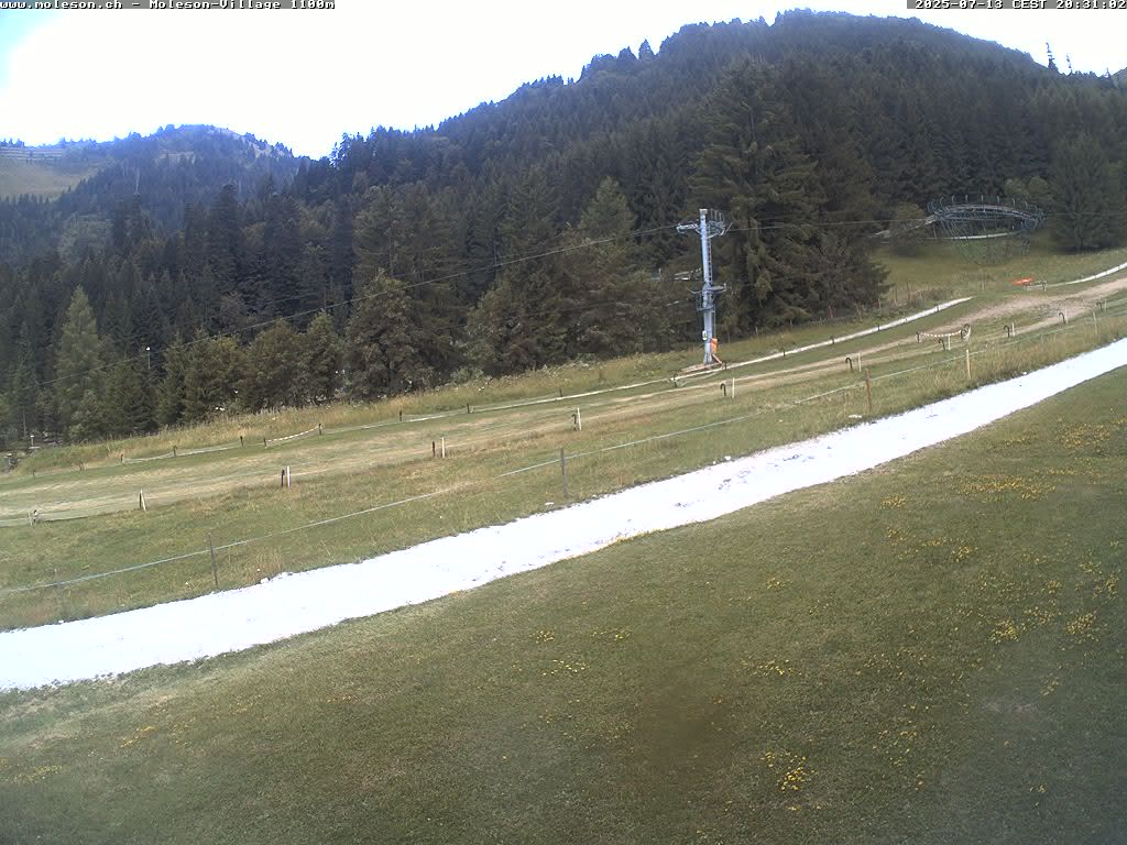 Moléson-Village - 1100 m
