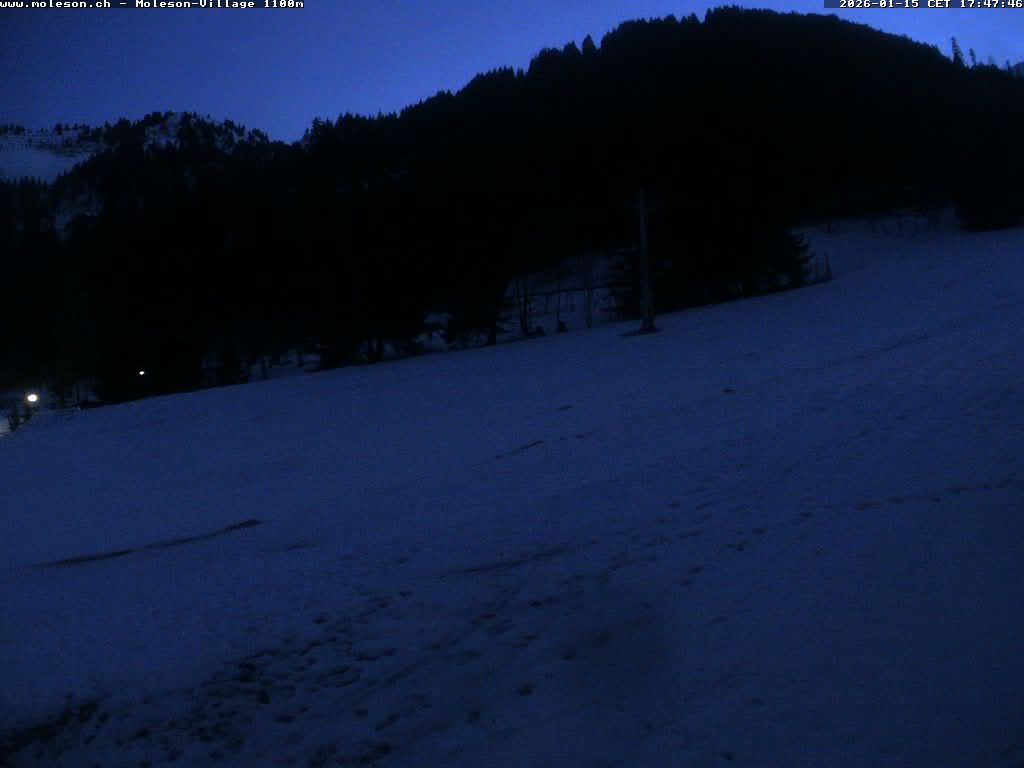 Moléson-Dorf - 1100m