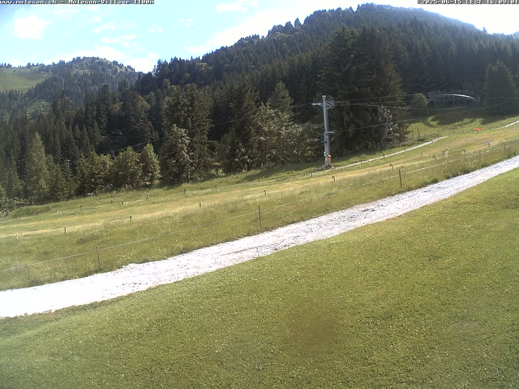 Moléson-Village - 1100m