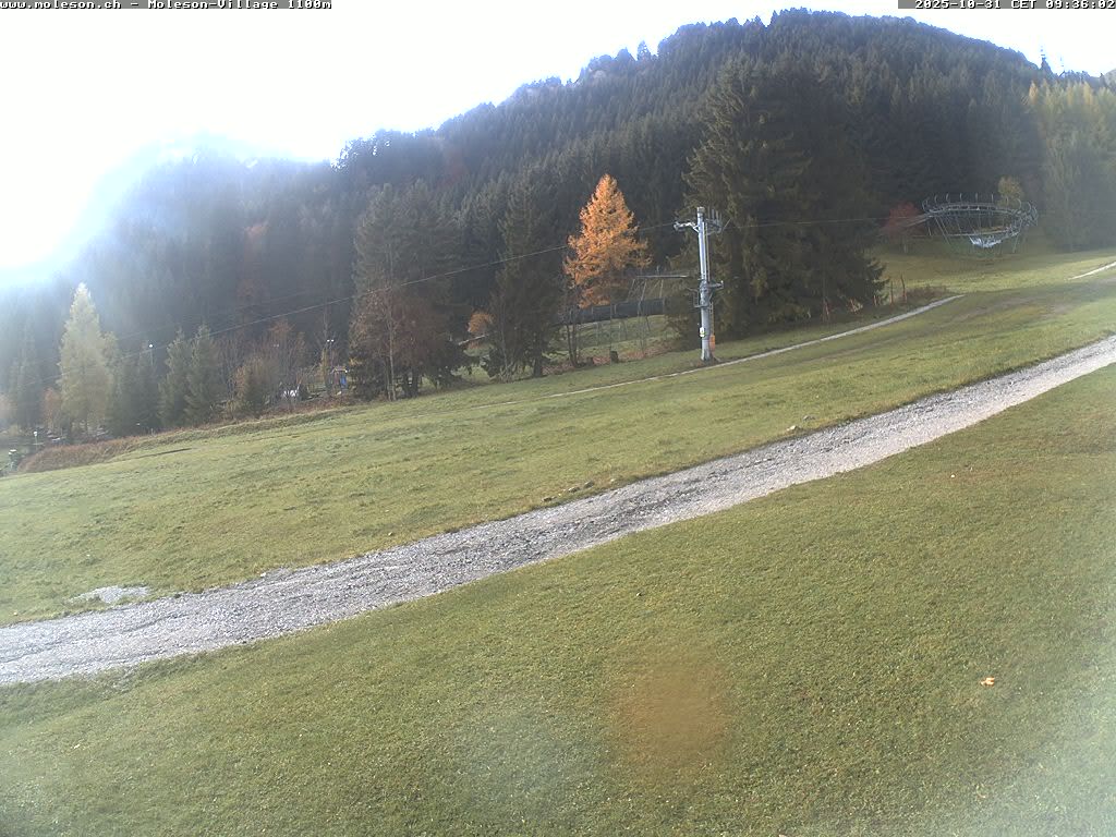 Moléson-Dorf - 1100m