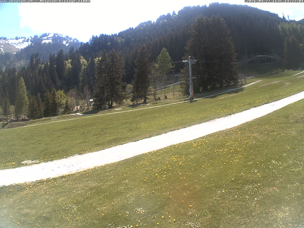 Moléson-Village - 1100m