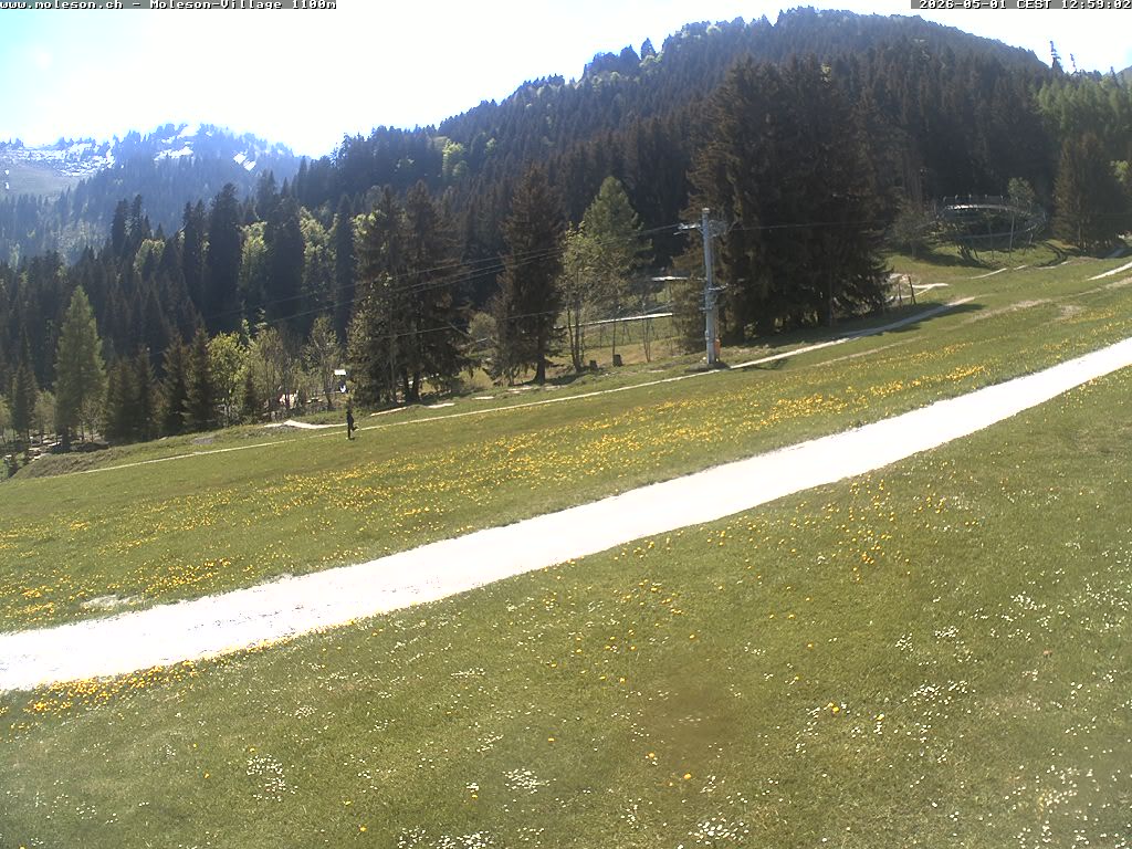 Moléson-Dorf - 1100m