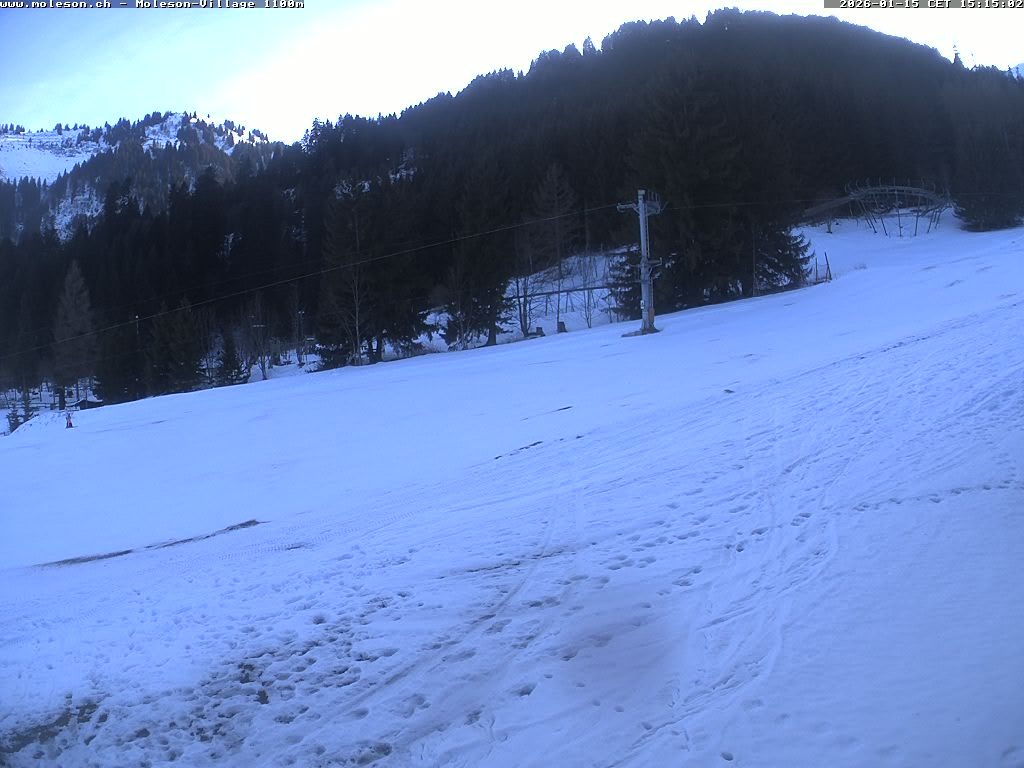 Moléson-Dorf - 1100m