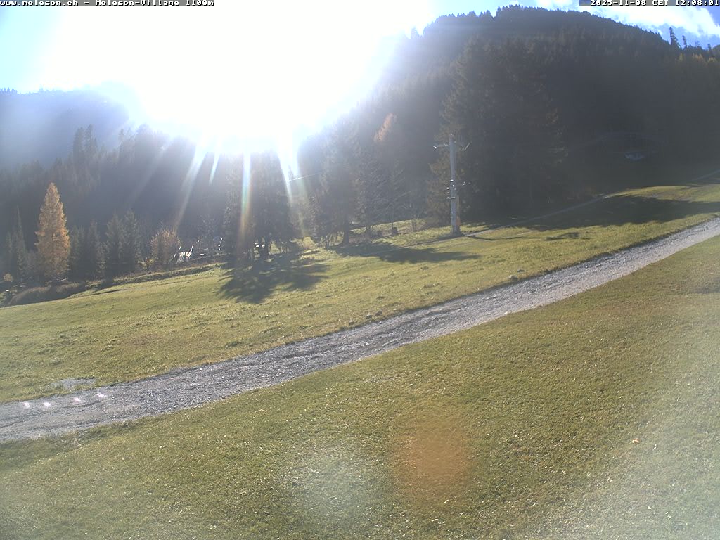 Moléson-Village - 1100 m