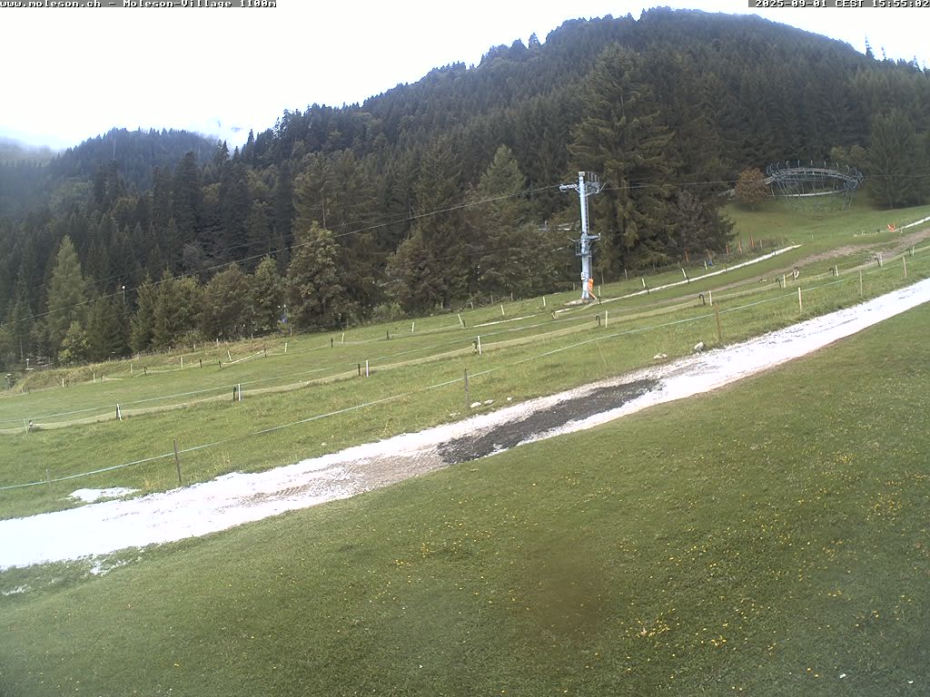 Moléson-Village - 1100m