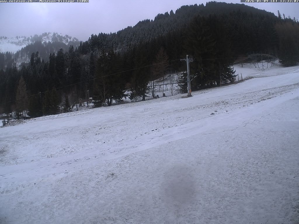 Moléson-Village - 1100 m