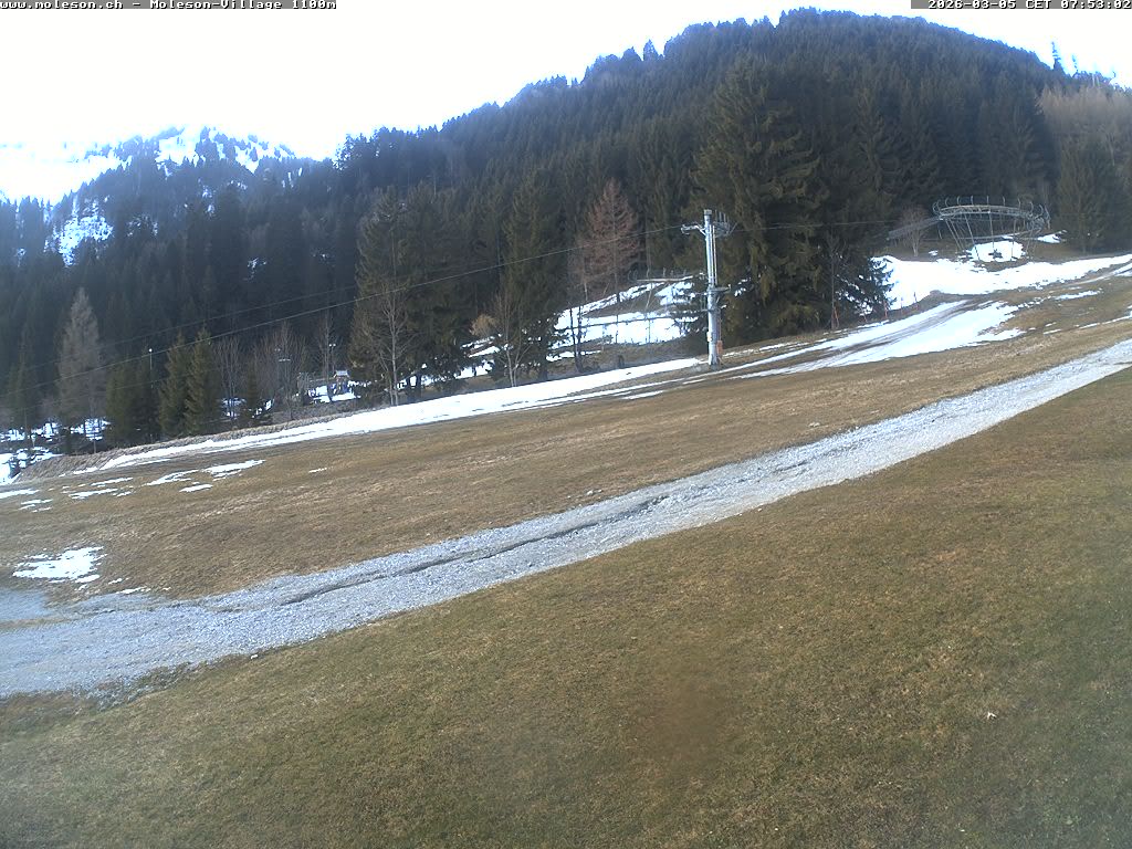 Moléson-Village - 1100m