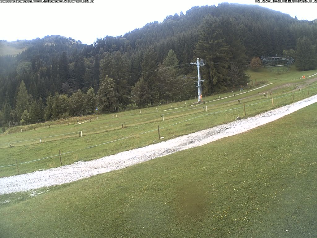 Moléson-Dorf - 1100m