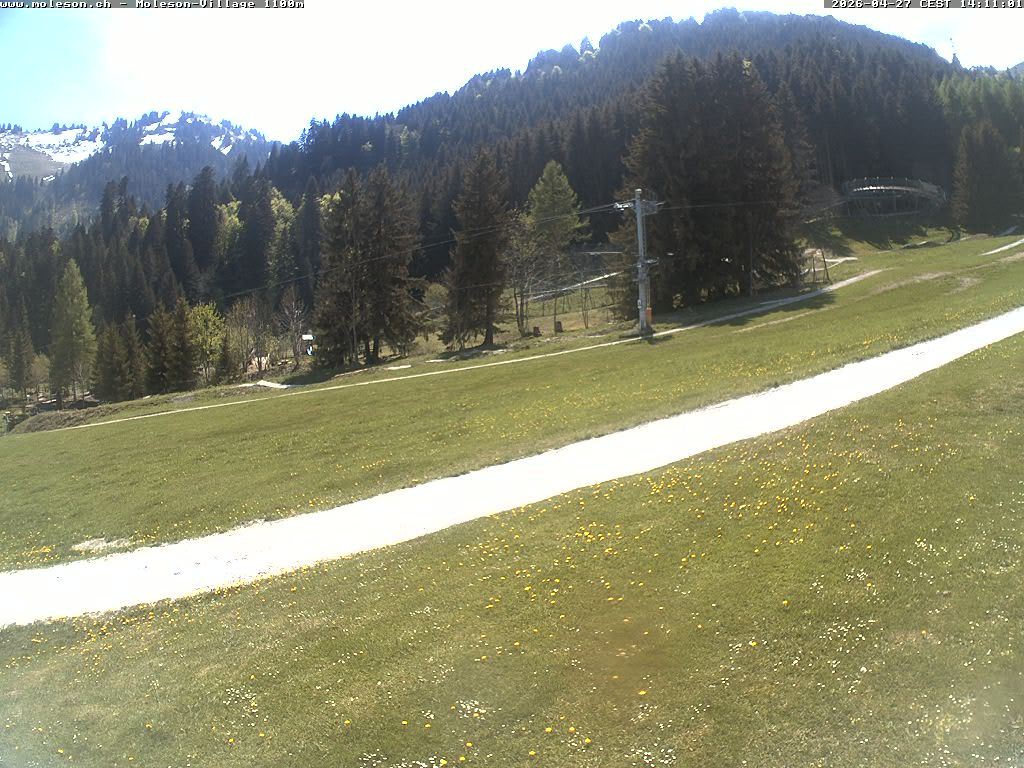 Moléson-Village - 1100m