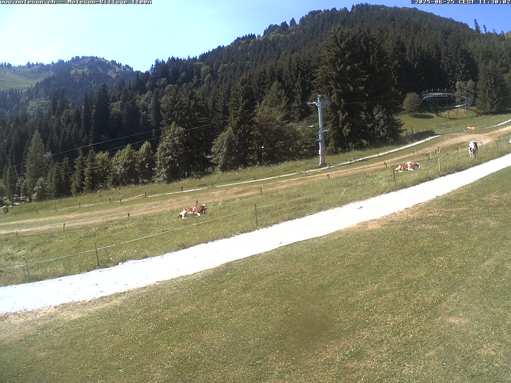 Moléson-Village - 1100 m