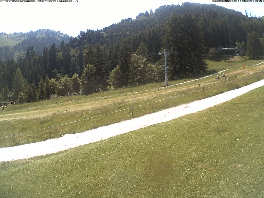 Moléson-Dorf - 1100m