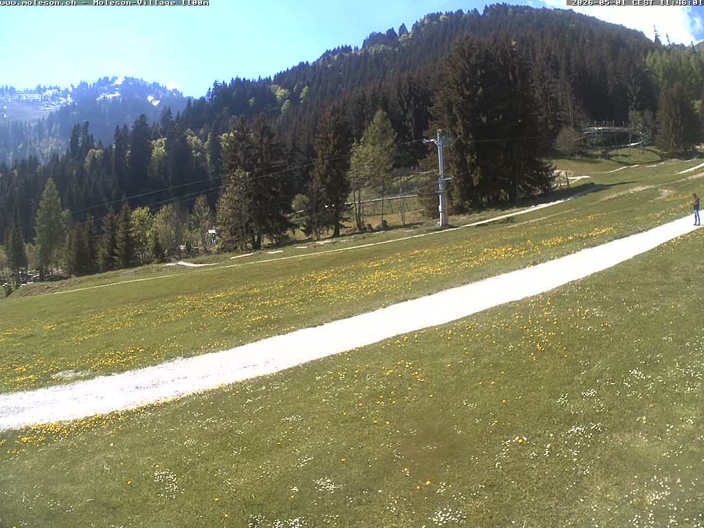 Moléson-Dorf - 1100m