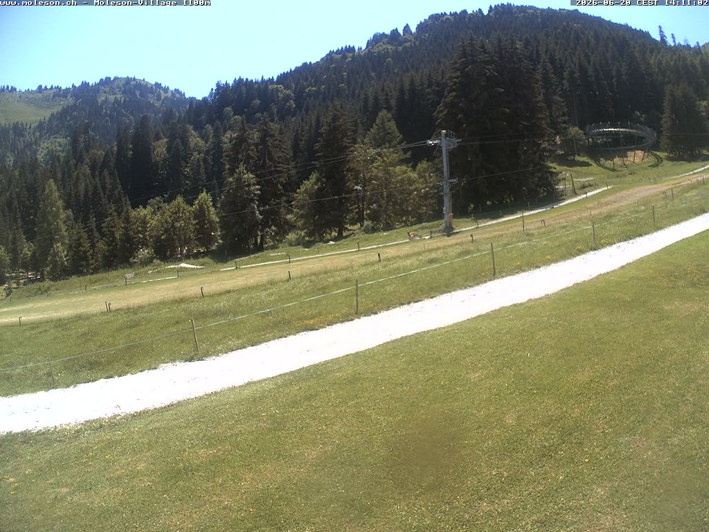 Moléson-Dorf - 1100m
