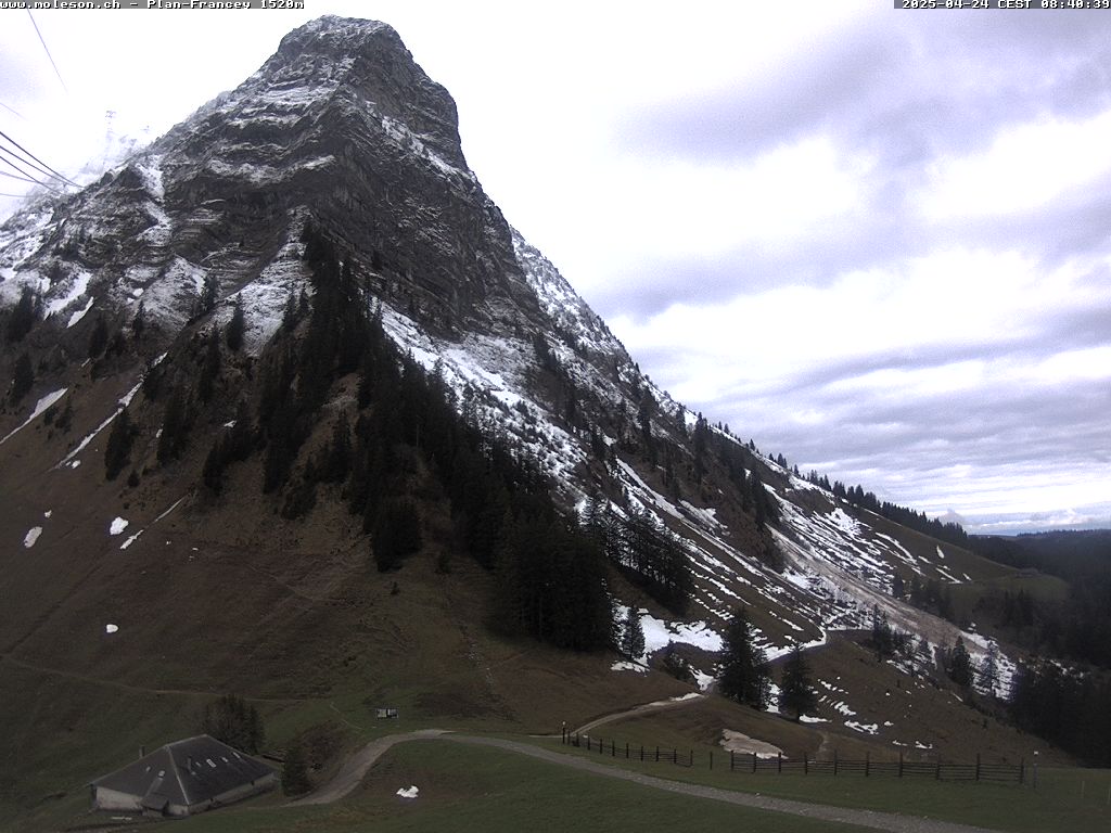 Webcam à Plan Francey au-dessus de Moléson-Village. (Gruyère)