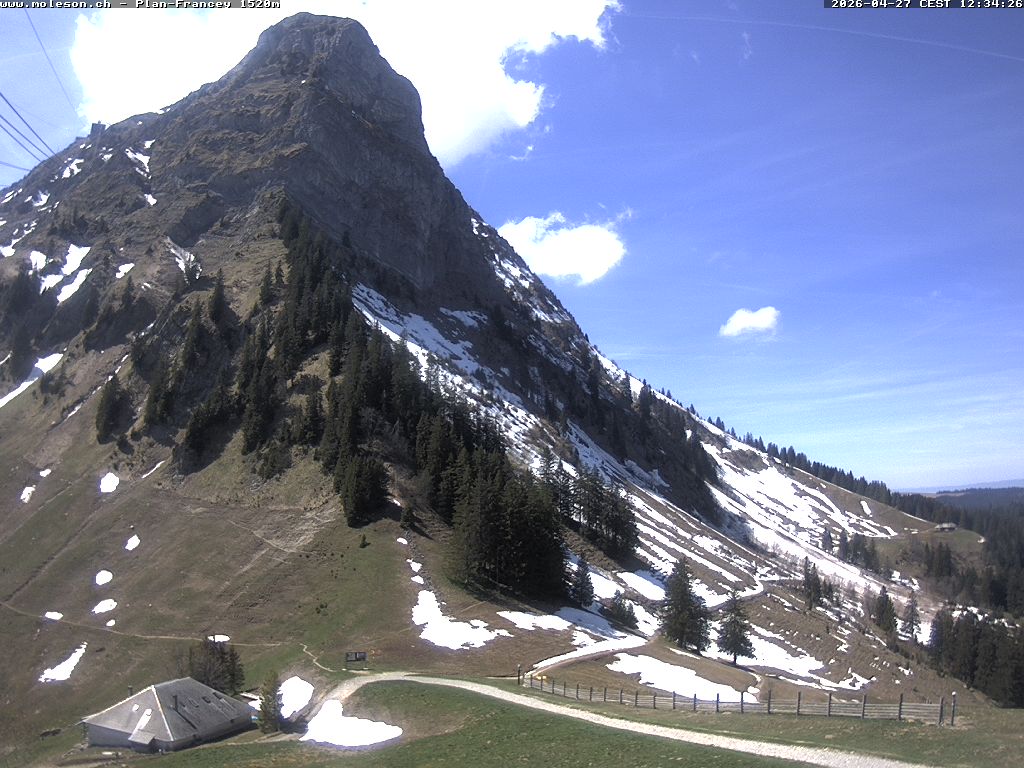 Plan-Francey - 1520 m