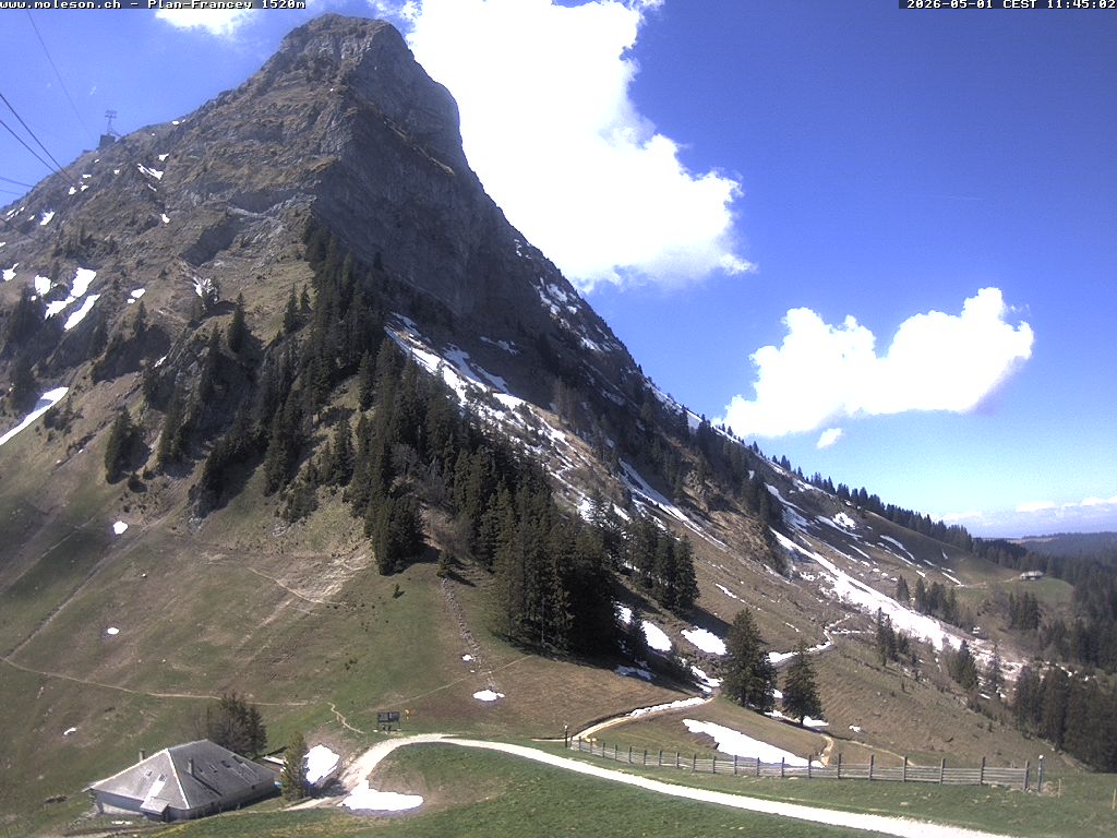 Plan-Francey - 1520 m