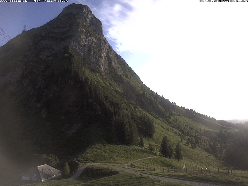 Plan-Francey - 1520 m