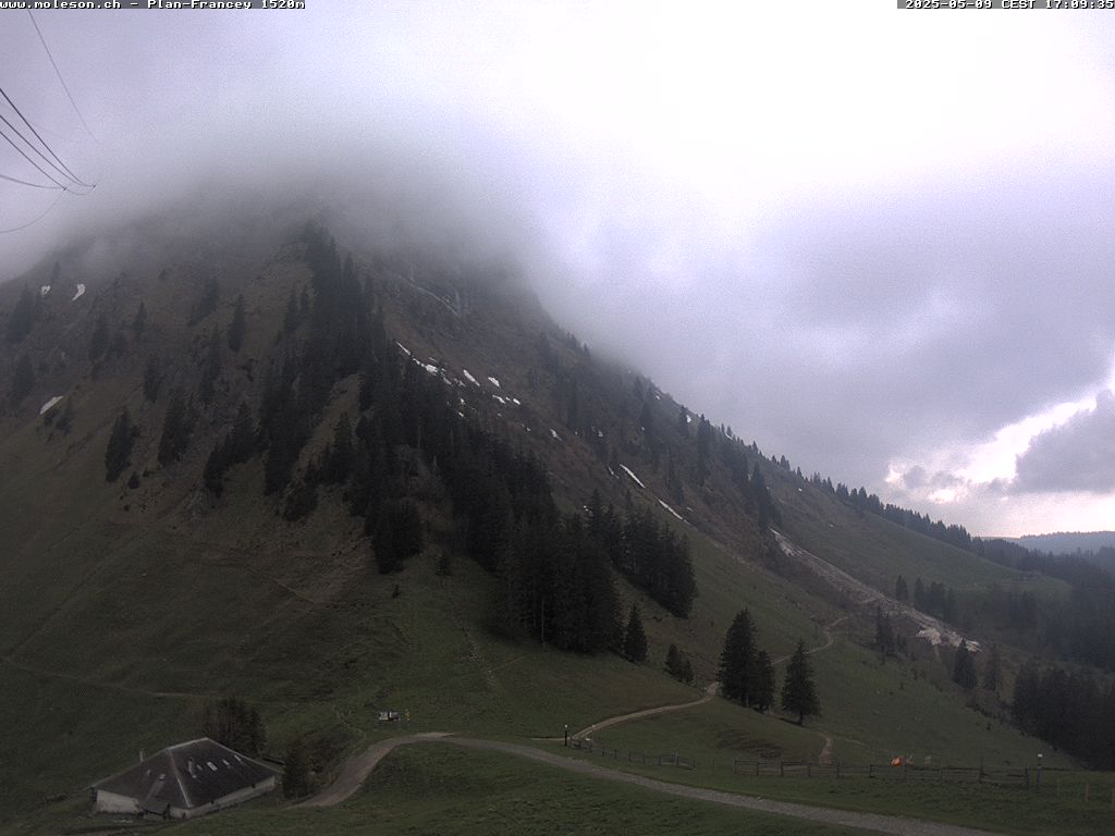 Plan-Francey - 1520 m