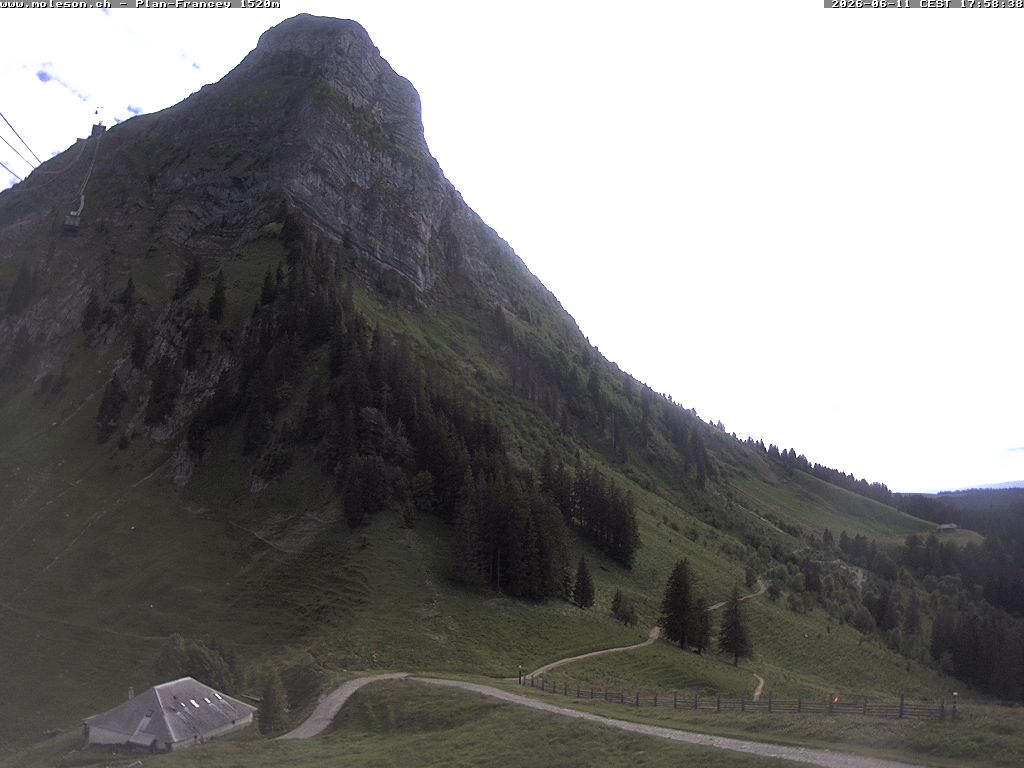 Plan-Francey - 1520 m
