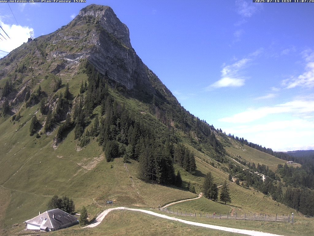 Plan-Francey - 1520 m