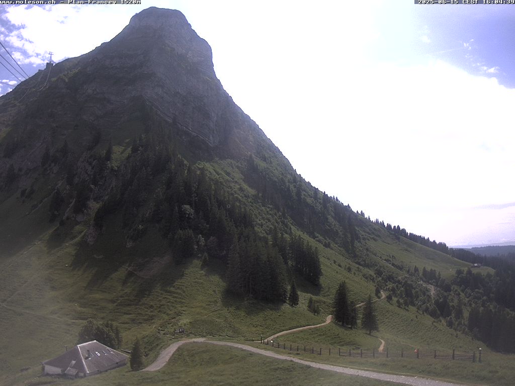Plan-Francey - 1520 m