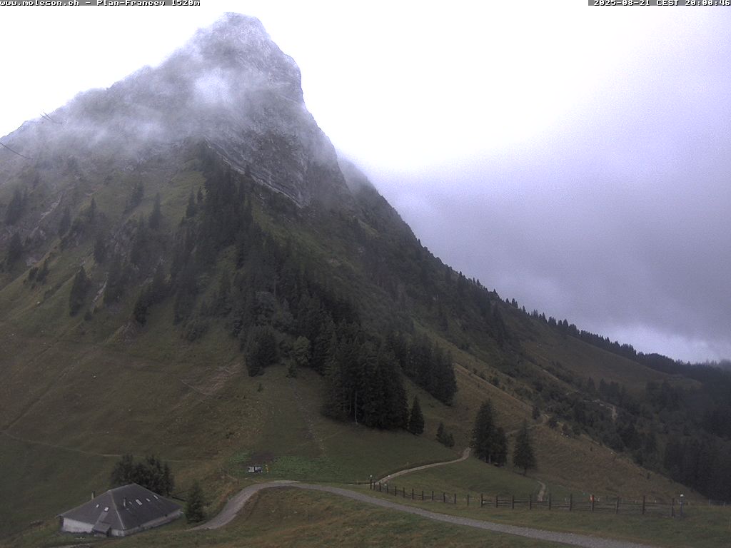 Plan-Francey - 1520 m