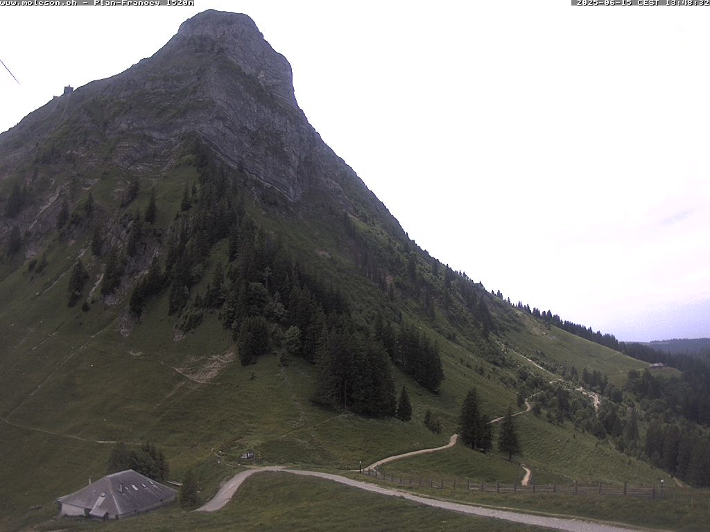 Plan-Francey - 1520 m