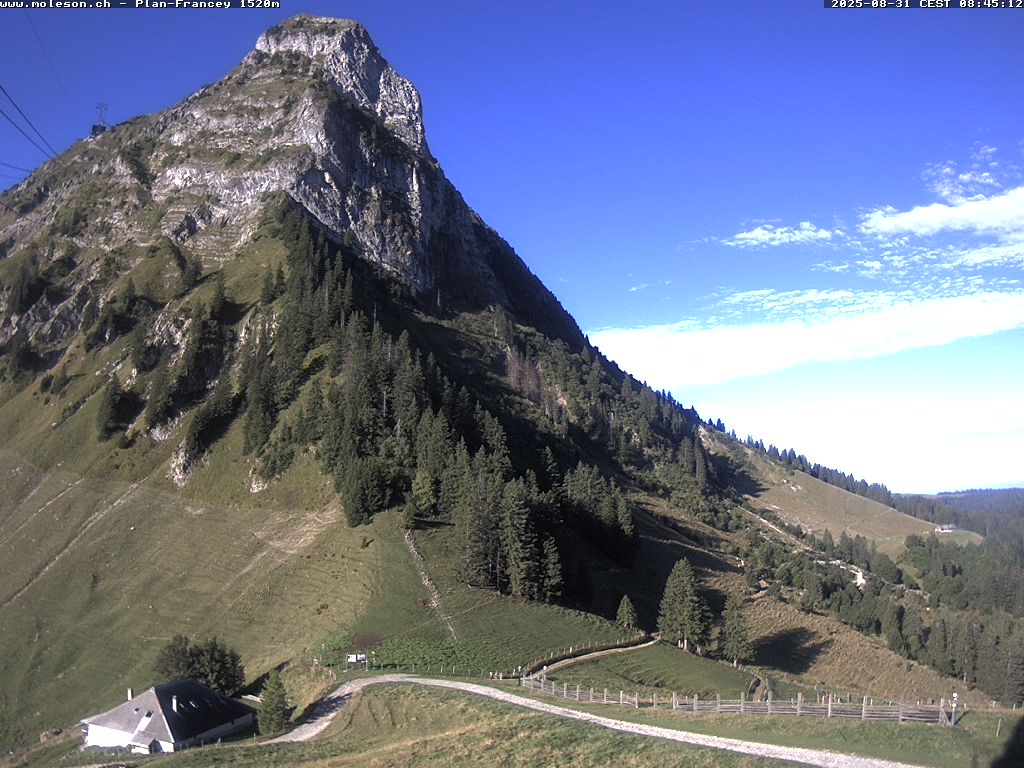 Plan-Francey - 1520 m
