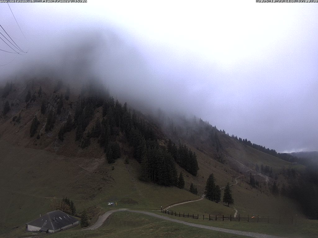 Plan-Francey - 1520 m
