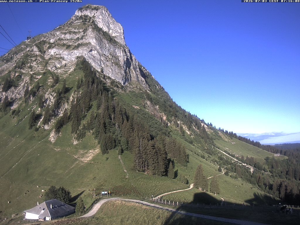 Plan-Francey - 1520 m