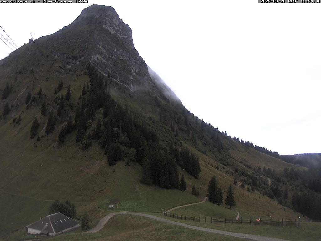 Plan-Francey - 1520 m