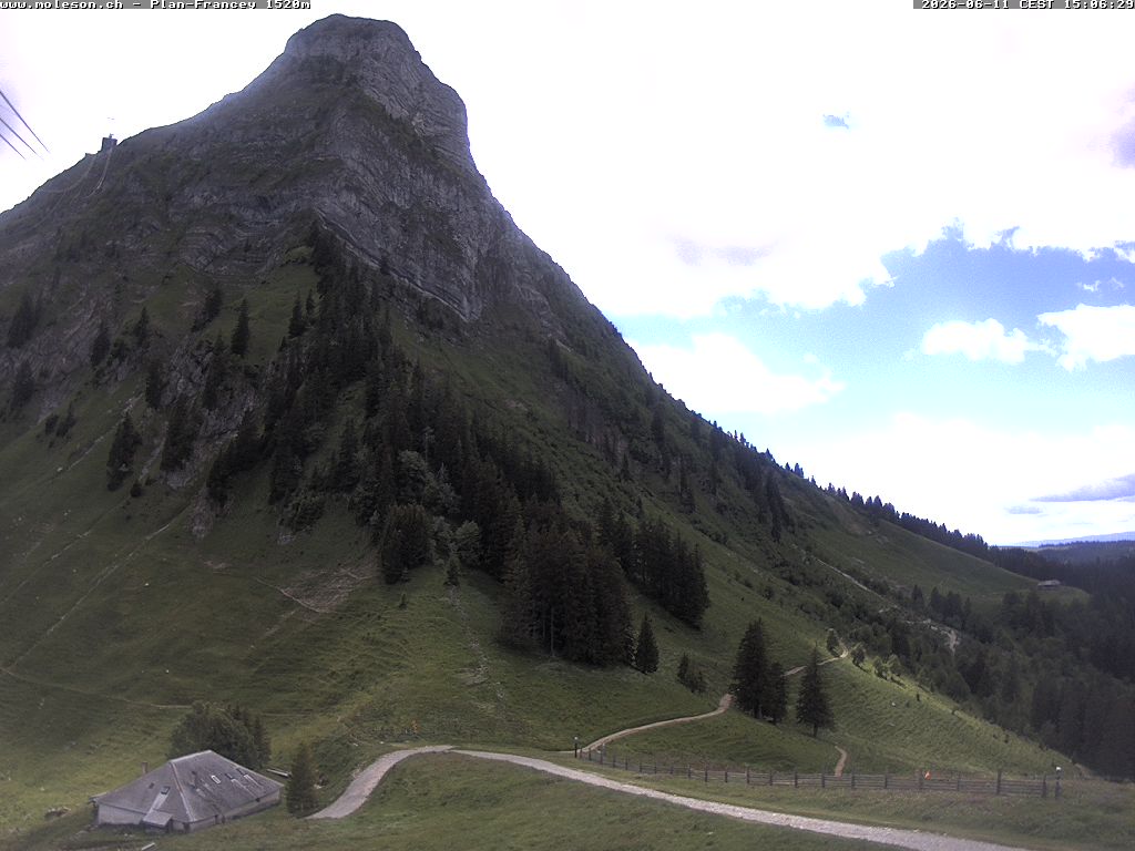 Plan-Francey - 1520 m