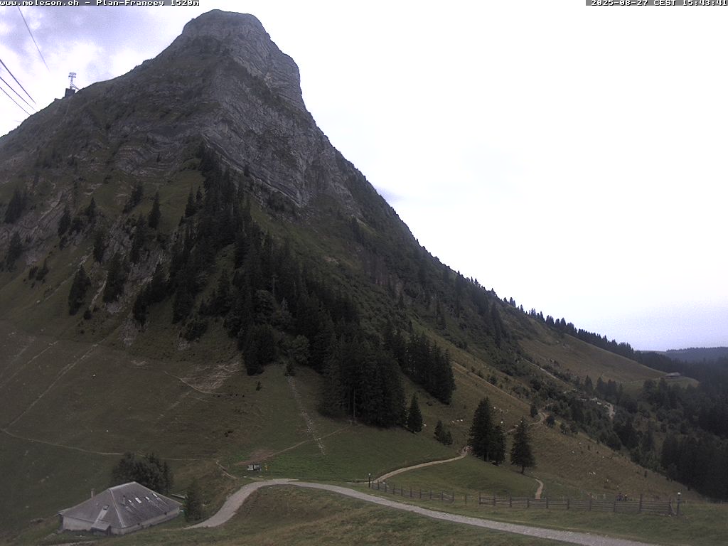 Plan-Francey - 1520 m