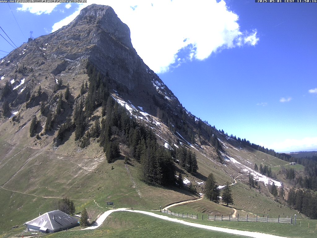 Plan-Francey - 1520 m