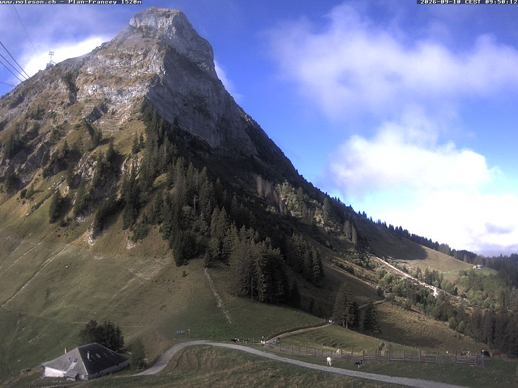 Plan-Francey - 1520 m