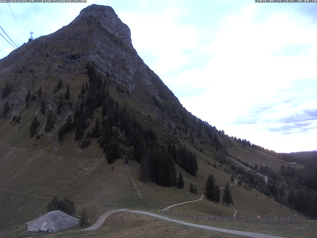 Plan-Francey - 1520 m