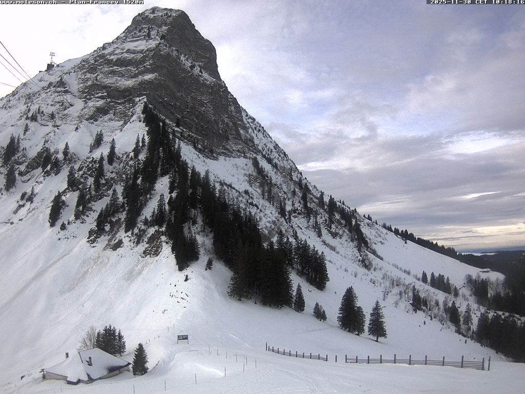 Plan-Francey - 1520 m