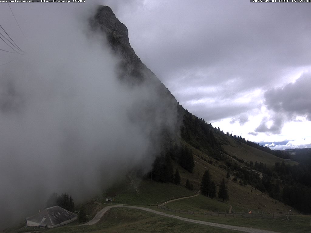 Plan-Francey - 1520 m