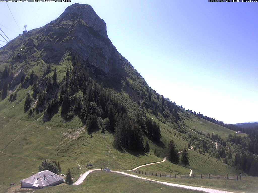 Plan-Francey - 1520 m