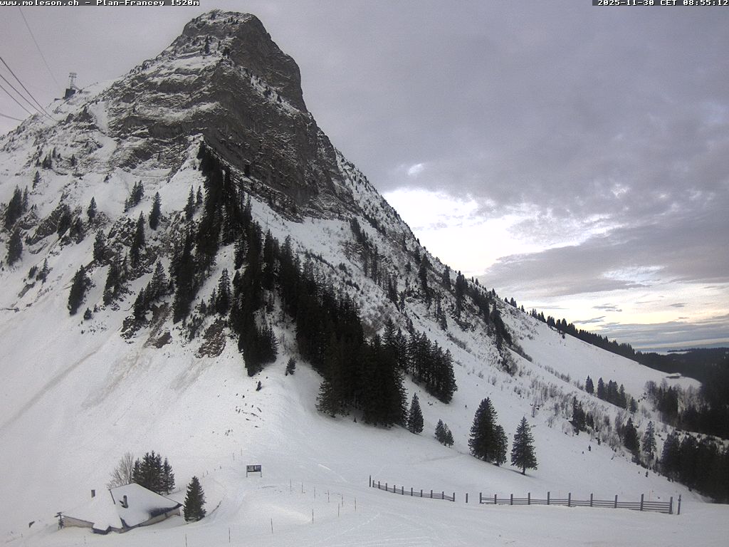 Plan-Francey - 1520 m