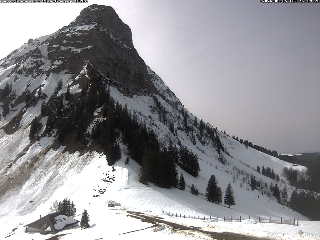 Plan-Francey - 1520 m