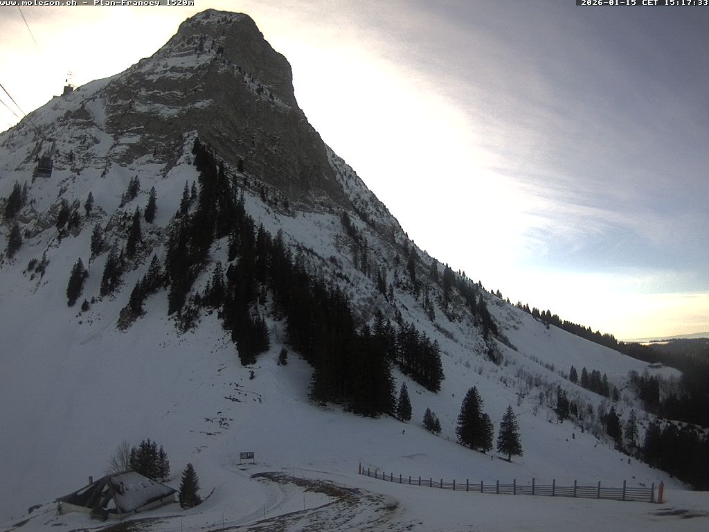 Plan-Francey - 1520 m