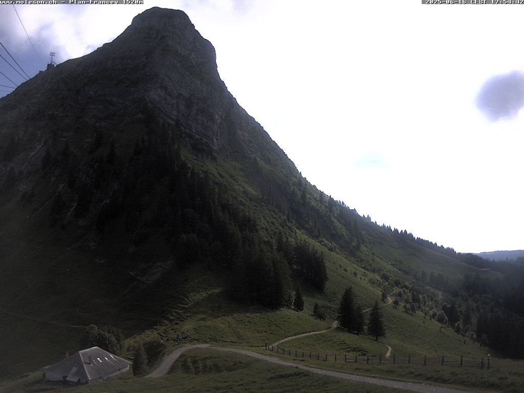 Plan-Francey - 1520 m