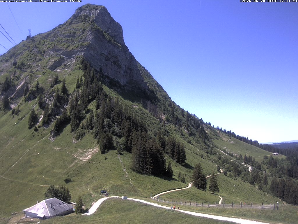 Plan-Francey - 1520 m