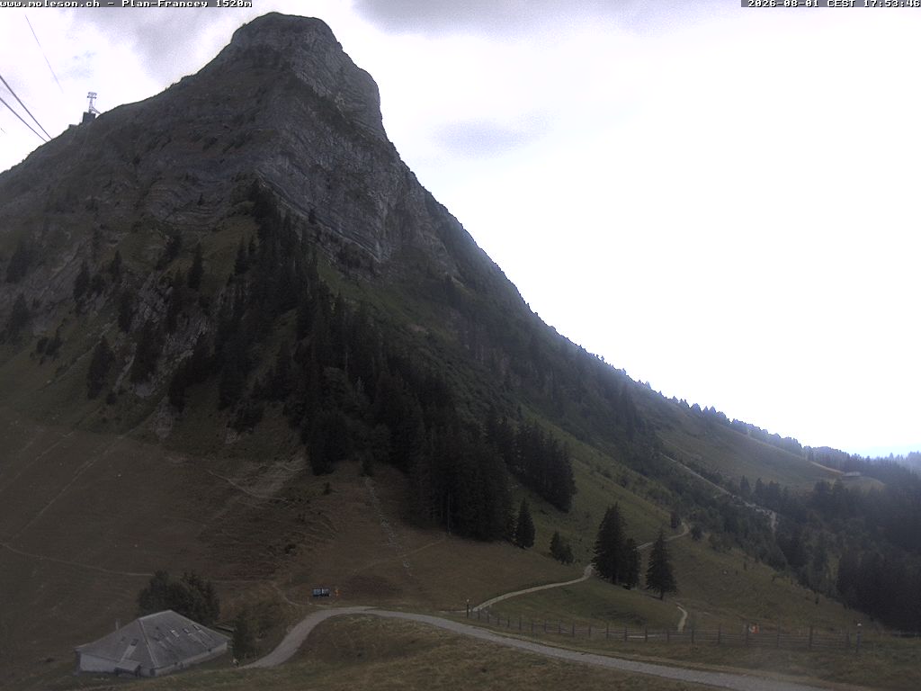Plan-Francey - 1520 m