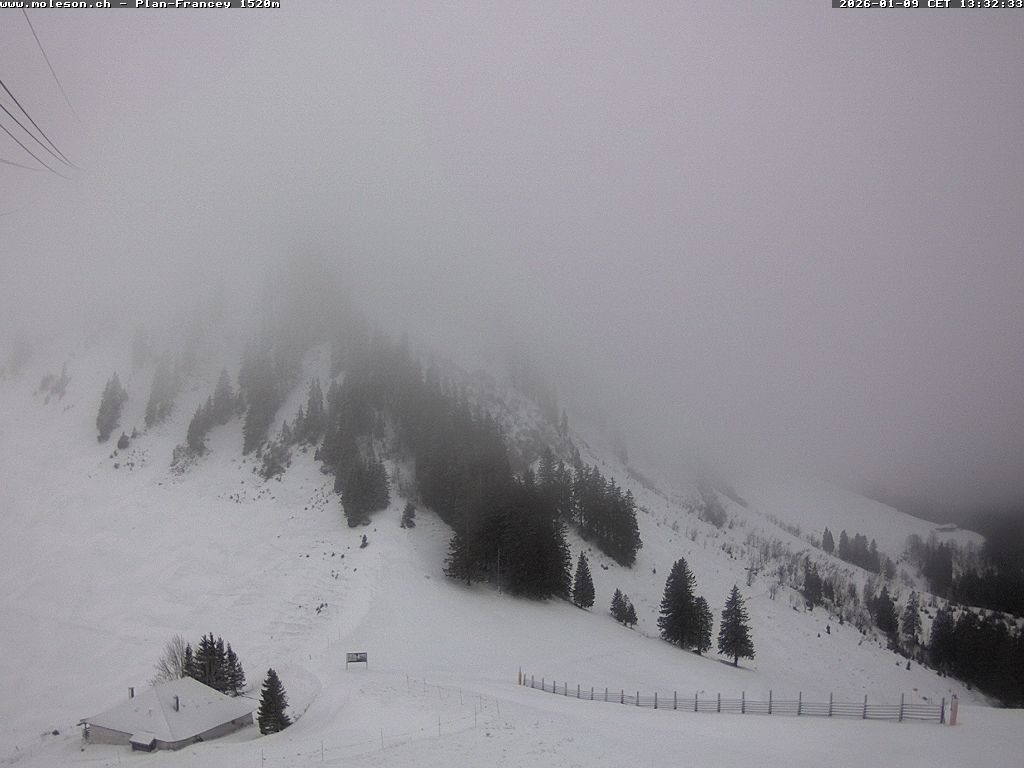 Plan-Francey - 1520 m